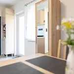 Tengercsillag